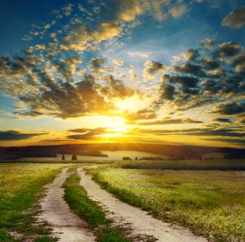 la personal trainer fitness health workout tips gym la personal trainer